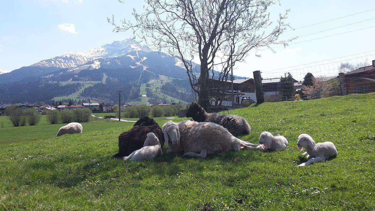 Narzenhof Wellness Chalets, Familien & Luxus Apartments Am Bauernhof سانكت يوهان ان تيرو المظهر الخارجي الصورة