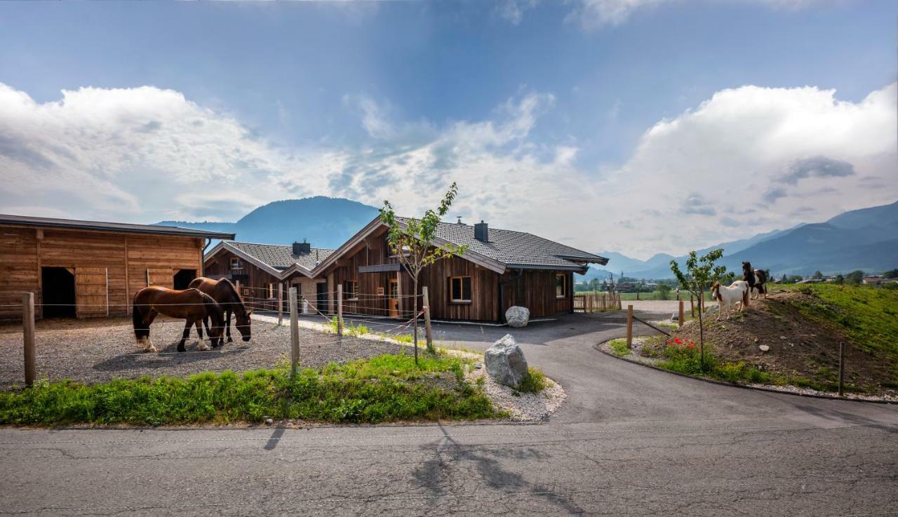 Narzenhof Wellness Chalets, Familien & Luxus Apartments Am Bauernhof سانكت يوهان ان تيرو المظهر الخارجي الصورة