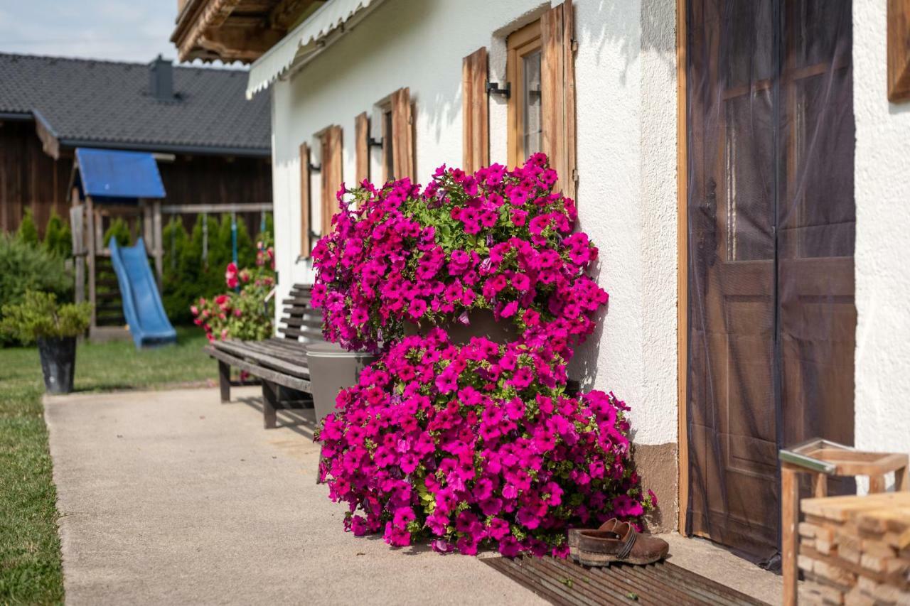 Narzenhof Wellness Chalets, Familien & Luxus Apartments Am Bauernhof سانكت يوهان ان تيرو المظهر الخارجي الصورة